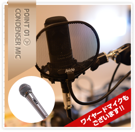 全室コンデンサーマイク完備